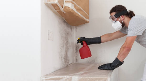 Professional Mold Remediation technician working in Melville, NY